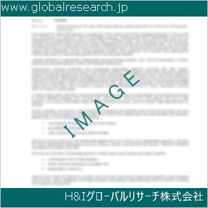 グローバルリサーチ調査資料のイメージ